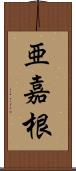 亜嘉根 Scroll