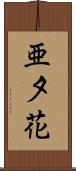 亜夕花 Scroll