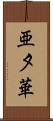 亜夕華 Scroll