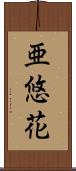 亜悠花 Scroll