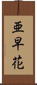 亜早花 Scroll