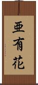 亜有花 Scroll