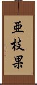 亜枝果 Scroll