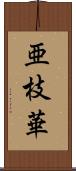 亜枝華 Scroll