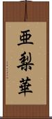 亜梨華 Scroll