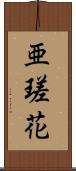 亜瑳花 Scroll