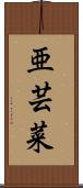 亜芸菜 Scroll