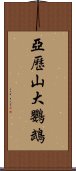 亞歷山大鸚鵡 Scroll