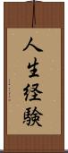 人生経験 Scroll