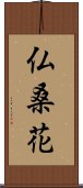 仏桑花 Scroll