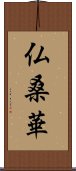 仏桑華 Scroll