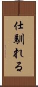 仕馴れる Scroll