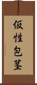 仮性包茎 Scroll