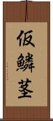 仮鱗茎 Scroll