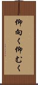仰向く Scroll
