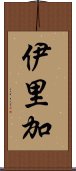 伊里加 Scroll