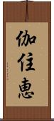 伽住恵 Scroll