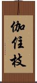 伽住枝 Scroll