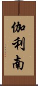 伽利南 Scroll