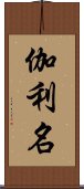 伽利名 Scroll