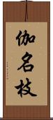 伽名枝 Scroll