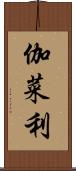 伽菜利 Scroll