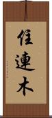 住連木 Scroll