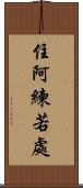 住阿練若處 Scroll