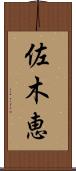 佐木恵 Scroll