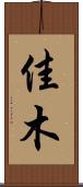 佳木 Scroll