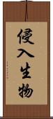 侵入生物 Scroll