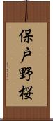 保戸野桜 Scroll