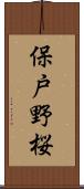 保戸野桜 Scroll