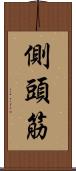 側頭筋 Scroll