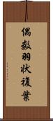偶数羽状複葉 Scroll