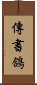 傳書鴿 Scroll