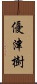 優津樹 Scroll