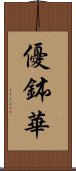 優鉢華 Scroll