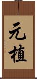元植 Scroll