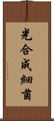 光合成細菌 Scroll