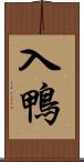 入鴨 Scroll