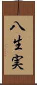 八生実 Scroll