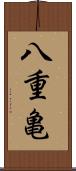 八重亀 Scroll