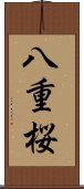 八重桜 Scroll