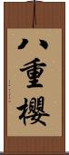 八重櫻 Scroll