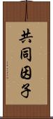 共同因子 Scroll