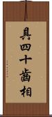 具四十齒相 Scroll