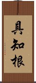 具知根 Scroll