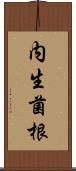内生菌根 Scroll