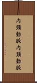 内頸動脈 Scroll